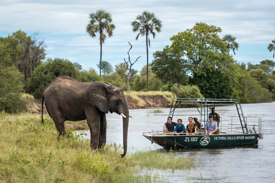 From Livingstone: Victoria Falls River Safari - Who should book this experience?