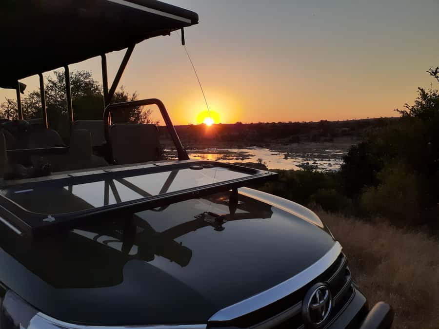 From Malelane: Half Day Kruger Park Wildlife Safari - Key points to know before booking