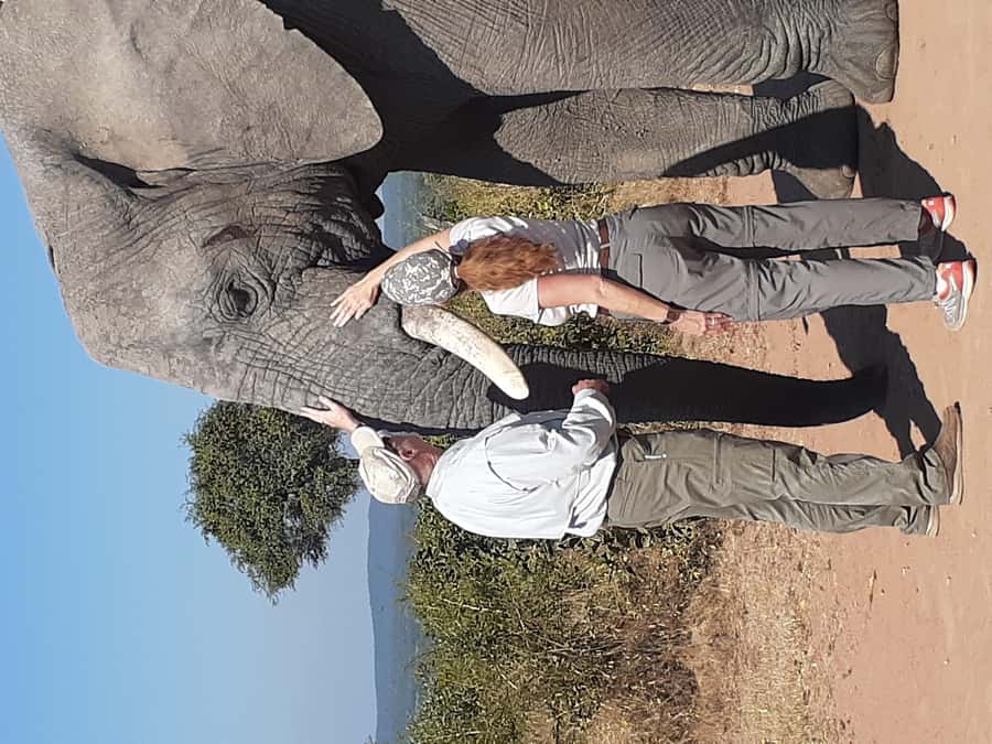 From Malelane: Kruger National Park Full-Day Safari - Lunch, a second camp, and room to stretch