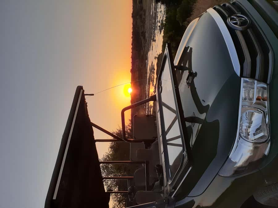 From Malelane: Kruger National Park Full-Day Safari - Afternoon viewing and the return toward Malelane