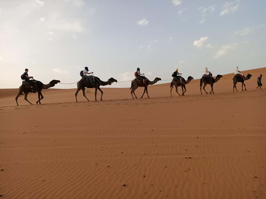 From Marrakech: 4-Day Morocco Sahara Desert Experience - Day 2: Todra Gorges, palm groves, and the road to Merzouga