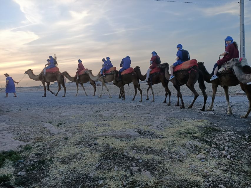 From Marrakech: 4-Day Morocco Sahara Desert Experience - Transport, group size, and the daily rhythm