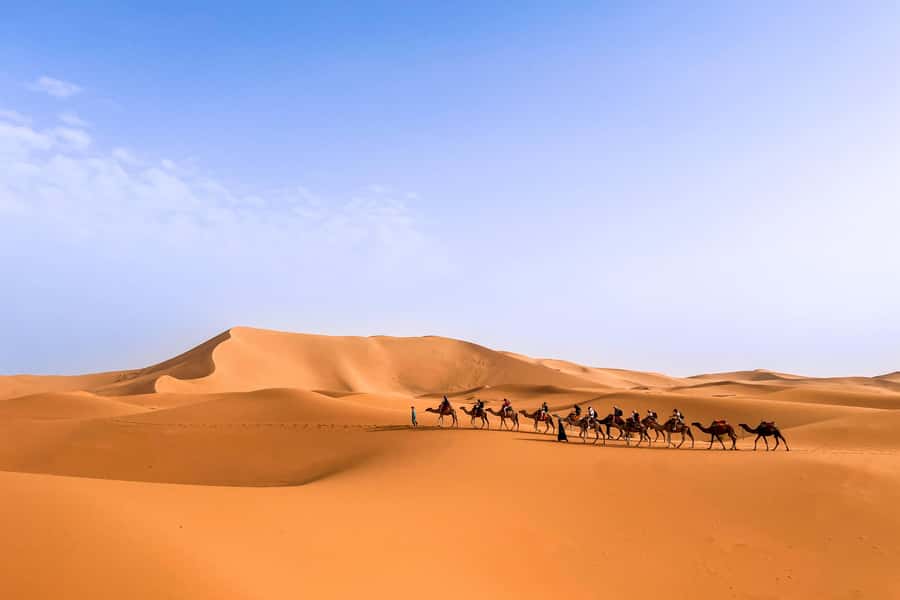 From Marrakech: Merzouga 3-Day Desert Safari with Food - The five details that matter most