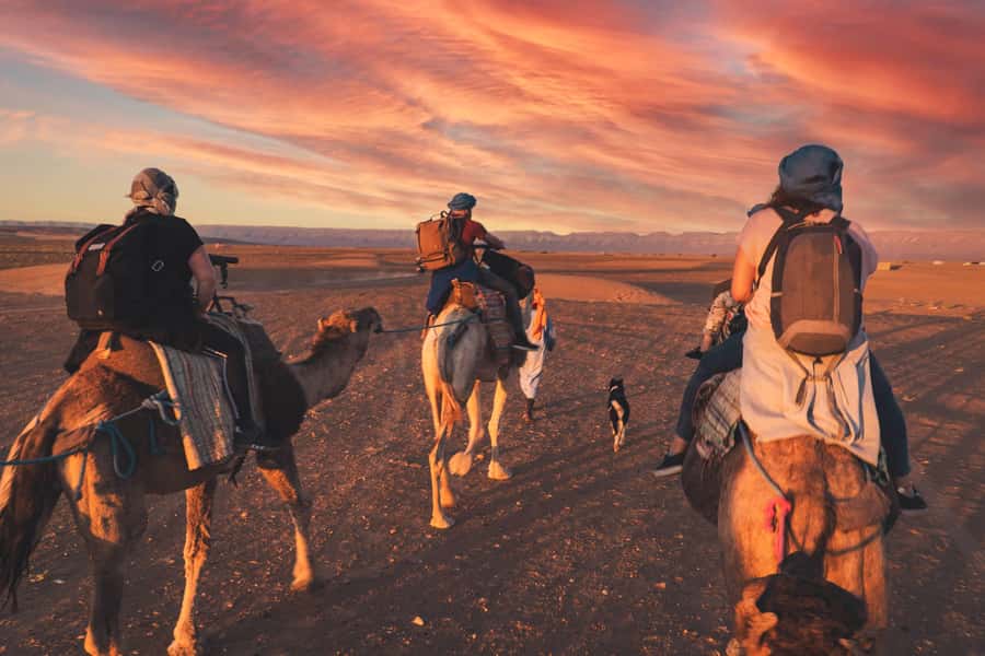 From Marrakech: Zagora 2-Day Desert Safari with Food & Camp - Ait Ben Haddou, Morocco’s movie-set village