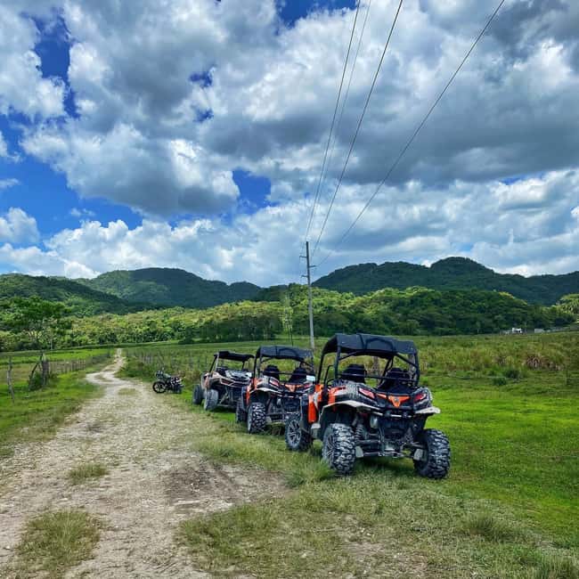 From Montego Bay/Negril: RastaSafari UTV Experience - Fresh fruit, medicinal plants, and useful local knowledge