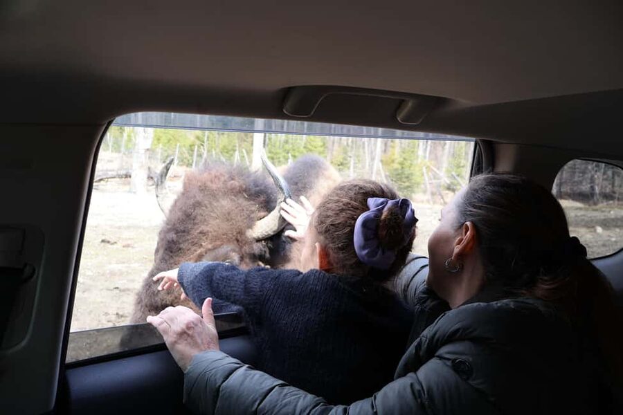 From Montreal: Omega Park Wildlife Safari Calling Sounds - Leaving Montreal For Montebello