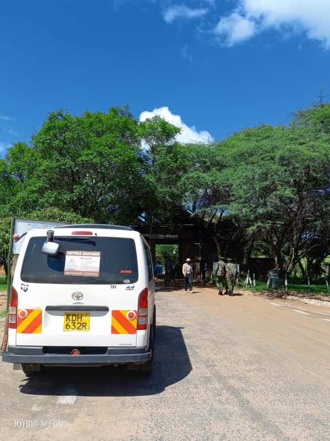 From Nairobi : 2-Days 1-Night Masai Mara Private 4WD Safari - Key points to know before booking