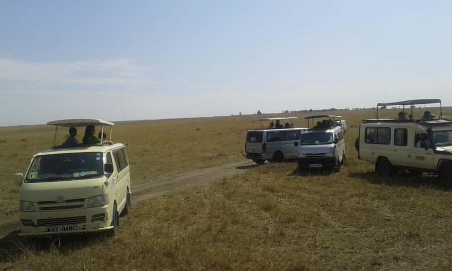 From Nairobi: 3 Days, 2 Nights Maasai Mara Group Safari - Key points before you book