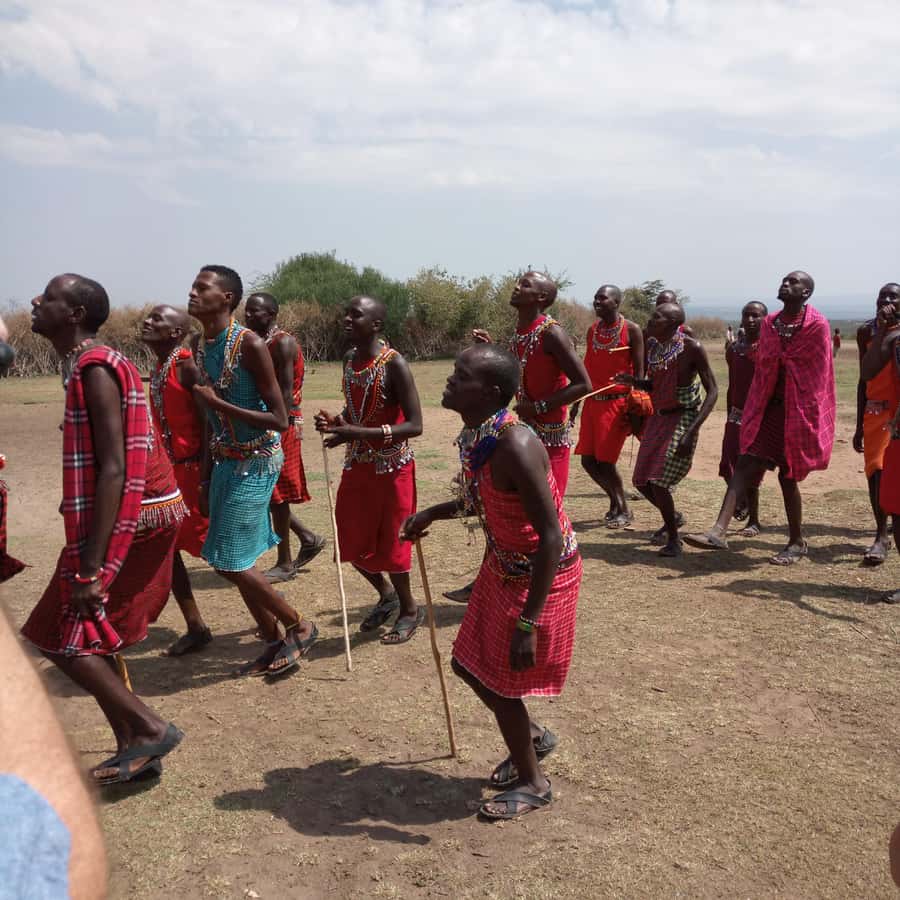 From Nairobi: 3 Days, 2 Nights Maasai Mara Group Safari - Is $199 really good value?