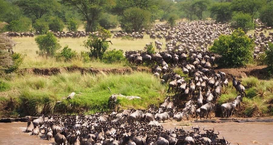 From Nairobi:3-Days 2-Nights Maasai Mara Group Safari in 4WD - Key points at a glance
