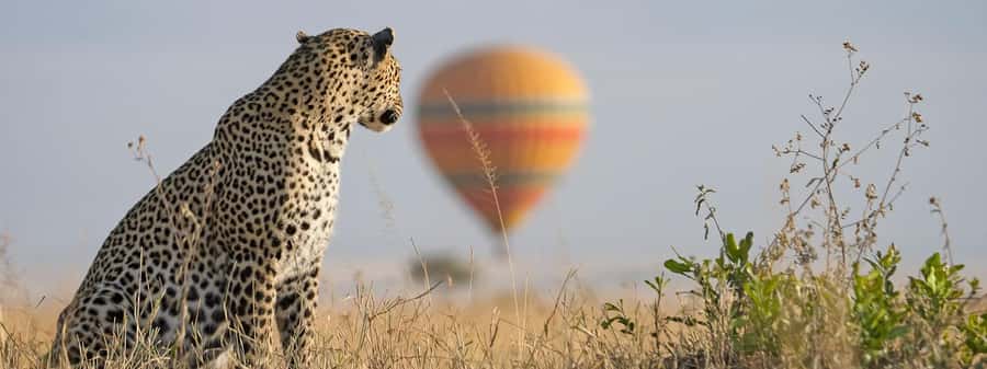 From Nairobi:3-Days 2-Nights Maasai Mara Group Safari in 4WD - What this safari really offers for $230