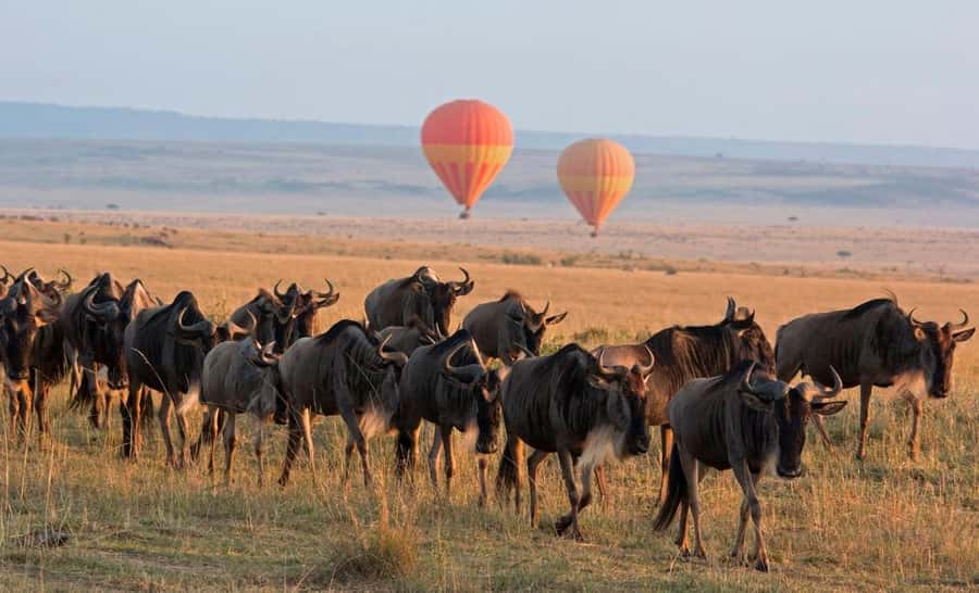 From Nairobi:3-Days 2-Nights Maasai Mara Group Safari in 4WD - Leaving Nairobi for the Great Rift Valley