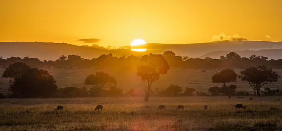 From Nairobi: 3 Days 2 Nights Masai Mara Group Safari - Why the Maasai Mara Makes Sense for a Three-Day Trip
