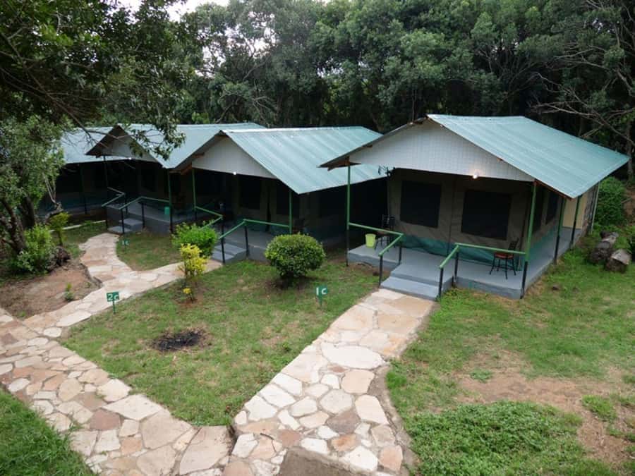 From Nairobi: 3 Days 2 Nights Masai Mara Group Safari - The Mara River and the Reality of Wildebeest Crossings