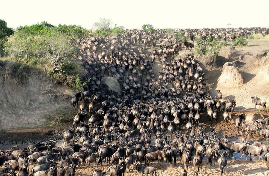From Nairobi: 3 - Days Maasai Mara Group Safari by 4WD - Nairobi pickup and the long road west