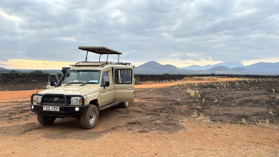 From Nairobi: 4-Day Maasai Mara and Lake Nakuru Group Safari - Day 2: The main Maasai Mara game drive