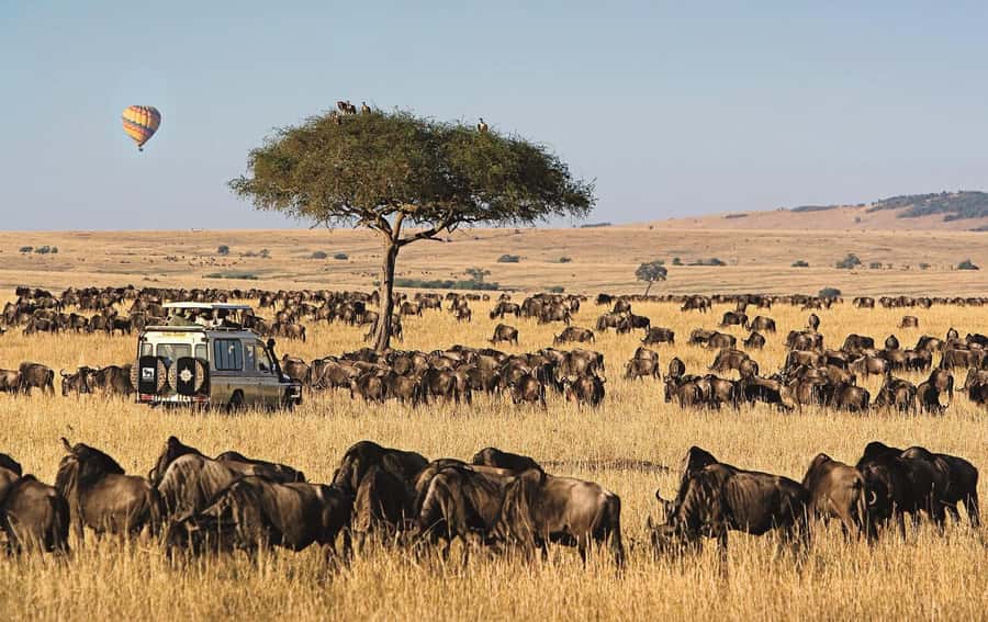 From Nairobi: 4-Day Maasai Mara and Lake Nakuru Group Safari - Guides, food, and day-to-day care