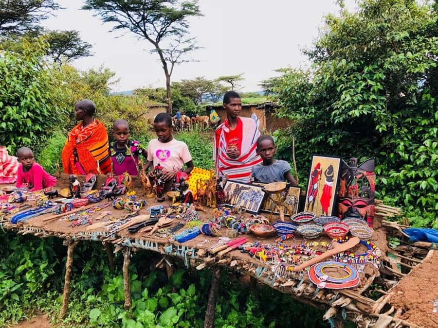 From Nairobi: 7 Days Masai Mara, Nakuru, and Amboseli Safari - What the $1,520 price really buys you