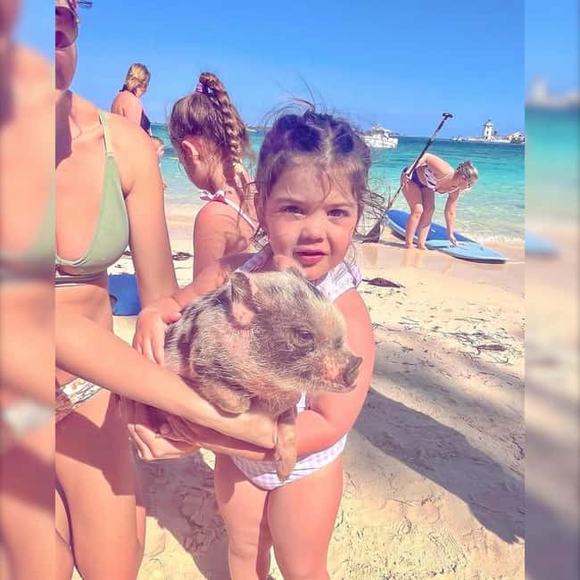 From Nassau: Swim with Pigs Safari - FAQ