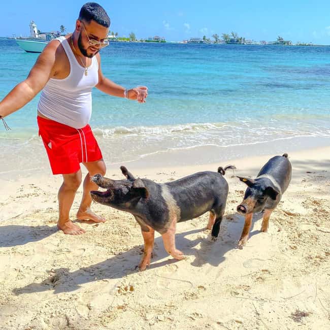 From Nassau: Swim with Pigs Safari - Setting out from Woodes Rodgers Walk
