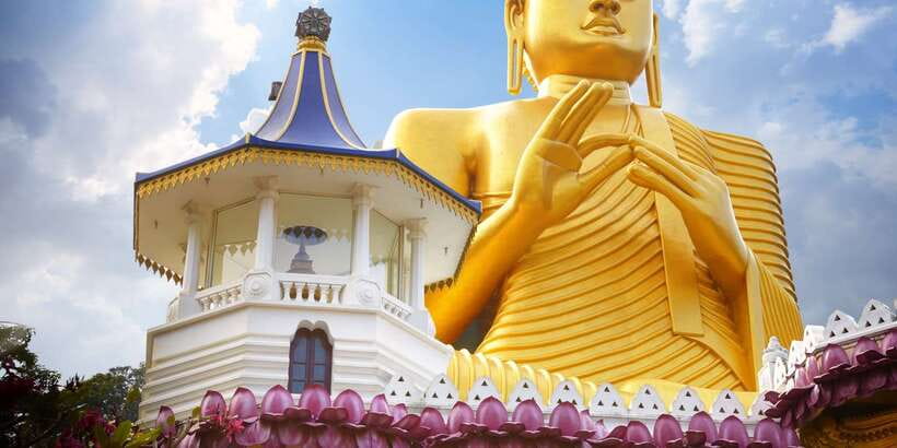 From Negombo: Sigiriya and Dambulla Day Trip and Safari - Practical advice before you go