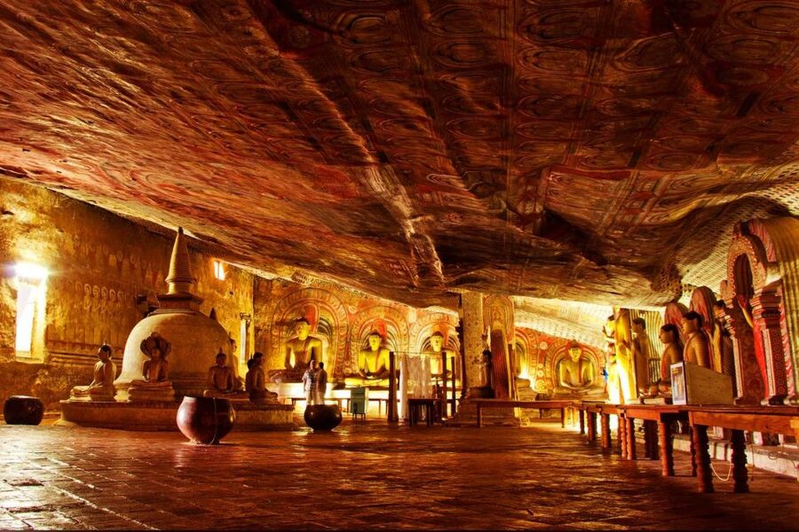 From Negombo: Sigiriya and Dambulla Day Trip and Safari - Lunch and the choice between a village and a safari