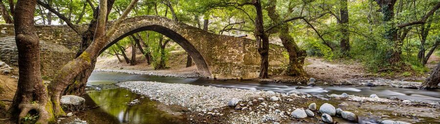 From Paphos: Troodos Jeep Safari - Why this eight-hour mountain day works