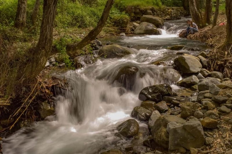From Paphos: Troodos Jeep Safari - Coffee, country roads, and the first photo stop