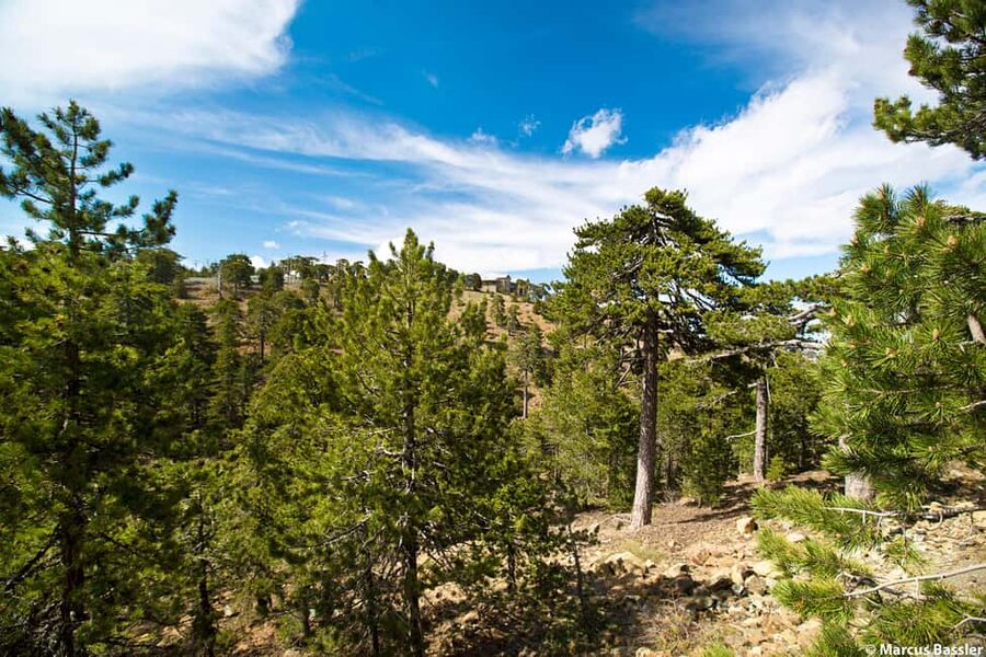 From Paphos: Troodos Jeep Safari - Pano Platres: lunch and a useful pause
