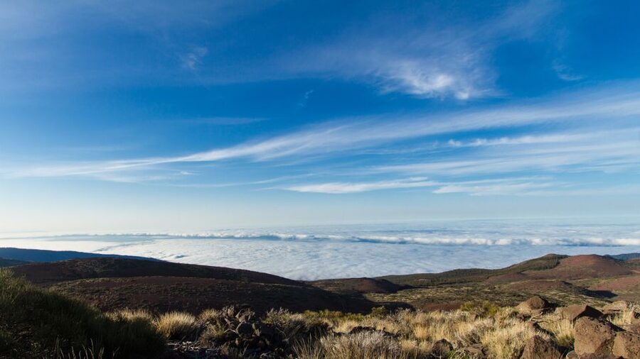 From Playa de las Américas: Full-Day Teide Jeep Safari - Why this jeep trip works so well for seeing Tenerife