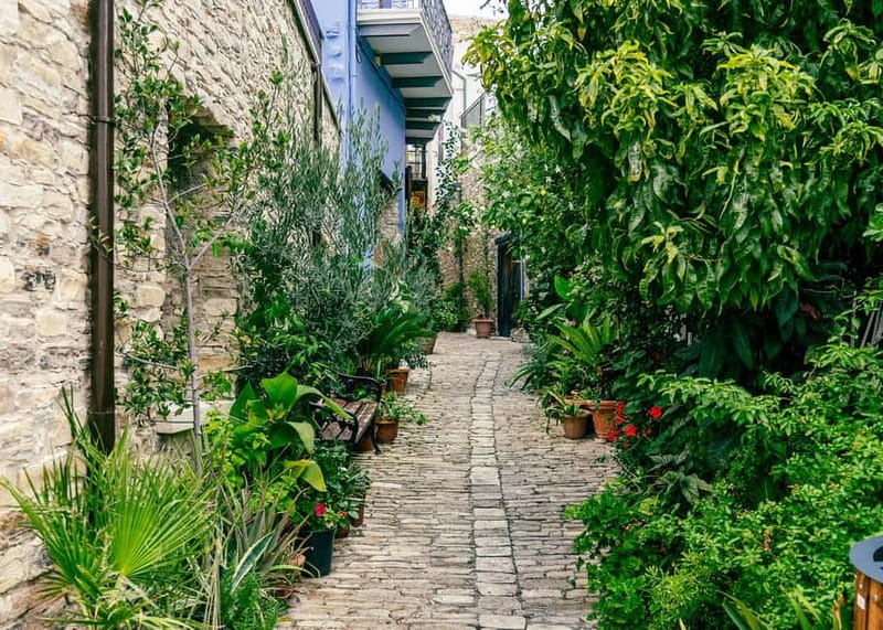 From Protaras: Full-Day Grand tour Jeep Safari with Lunch - Winery tasting: a simple taste of Cyprus