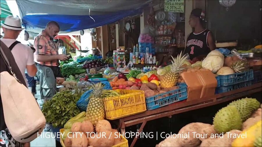 From Punta Cana: Higüey Guided Safari Tour - Transport, guides, and the real practical picture