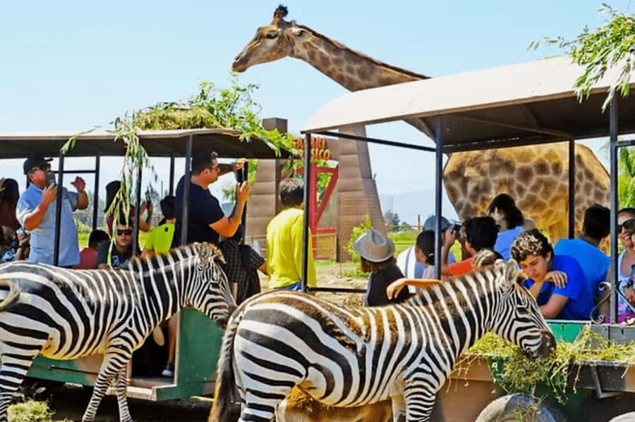 From Santiago: Safari Park, a wild experience - Jurassic Safari: a lighter stop for families