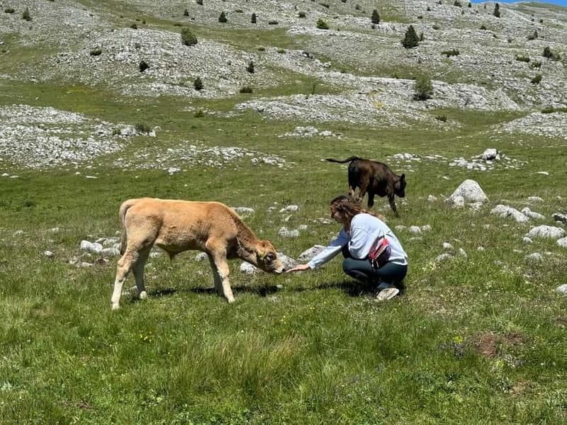 From Sarajevo: Private Lukomir Village 4x4 Safari - Is $235 good value for up to three people?