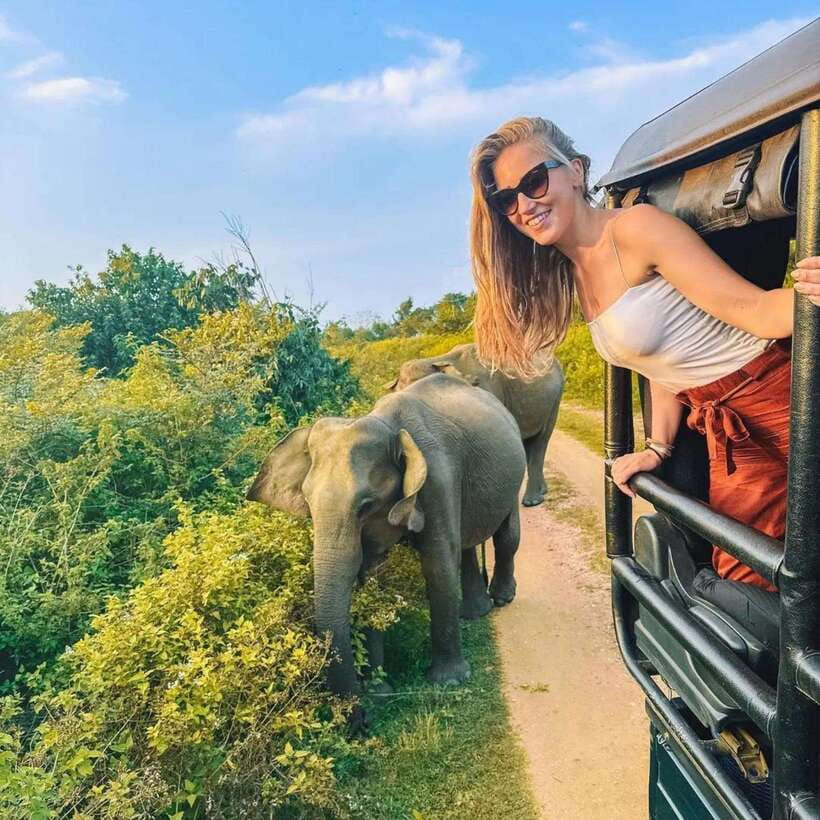From Sigiriya : Hurulu Eco Park Safari : All Inclusive - Leaving Sigiriya for Hurulu’s Morning Forest