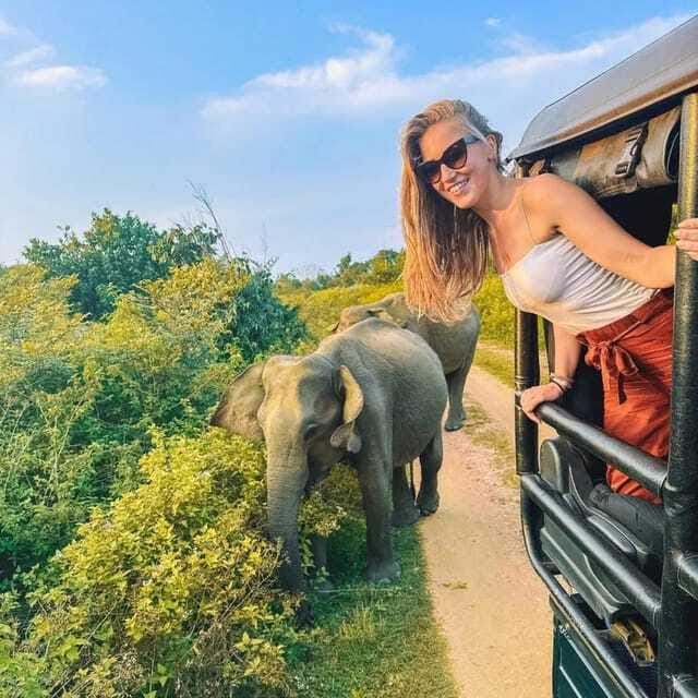From Sigiriya : Hurulu Eco Park Safari : All Inclusive - A Guide Can Change the Whole Morning