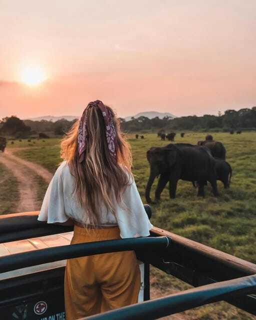 From Sigiriya: Minneriya National Park Elephant Safari - Responsible wildlife watching, with one honest caveat