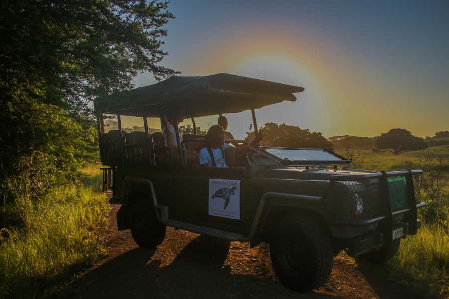 From St Lucia: Cape Vidal Full-Day Snorkeling Safari - A human guide makes the park more personal