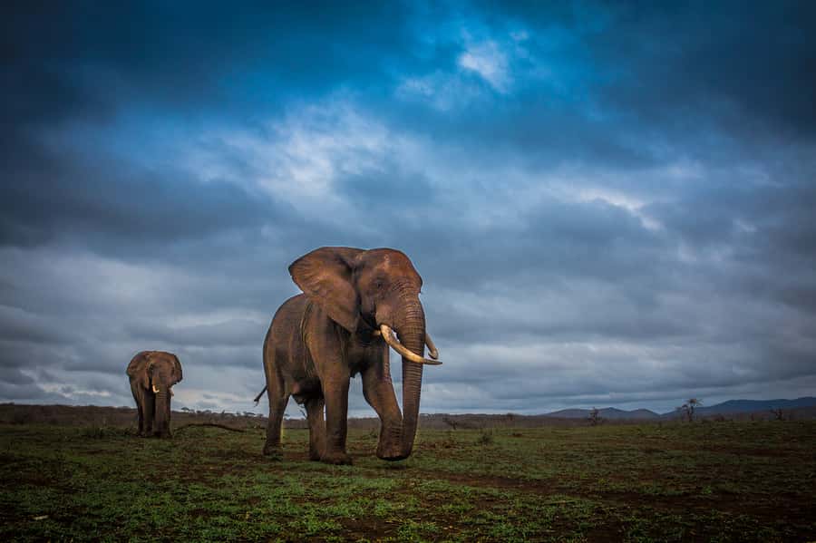 From St Lucia: iSimangaliso Sunset Safari - What makes iSimangaliso’s Eastern Shores different