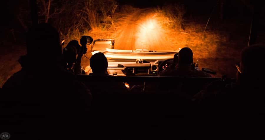 From St Lucia: iSimangaliso Wetland Park Night Drive Safari - Key points before you book