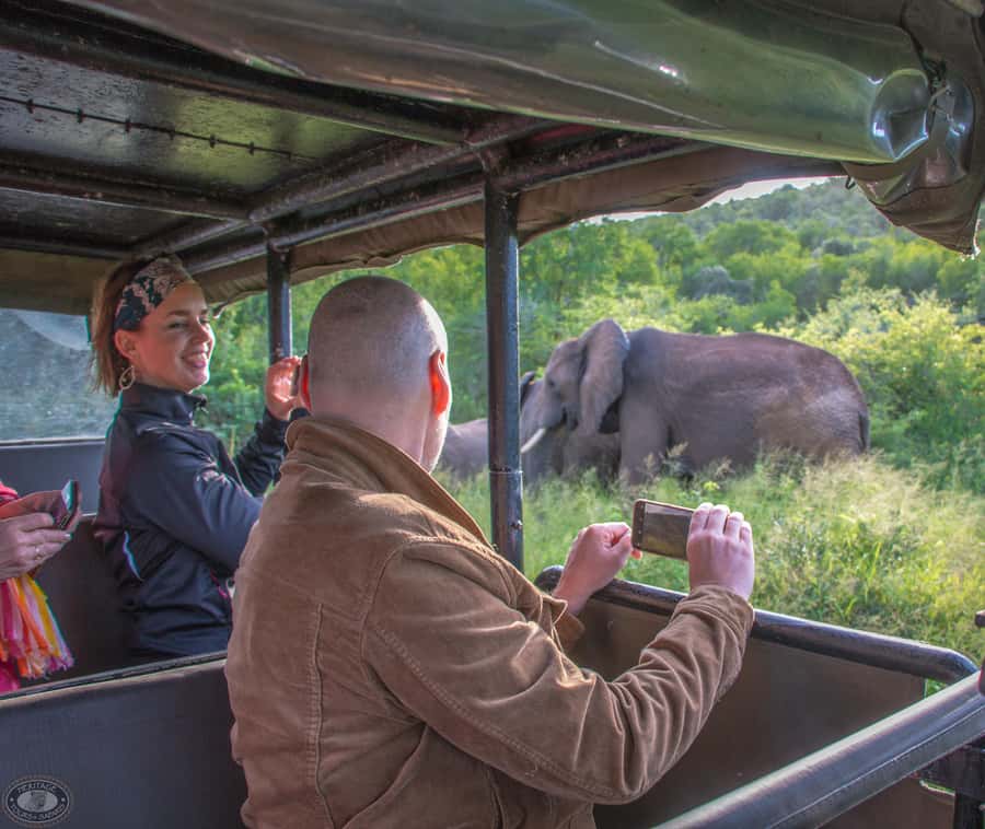 From St Lucia: iSimangaliso Wetland Park Night Drive Safari - Is $46 good value?