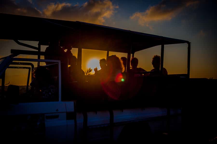 From St Lucia: iSimangaliso Wetland Park Night Drive Safari - Pickup at 7:00 PM or 8:00 PM