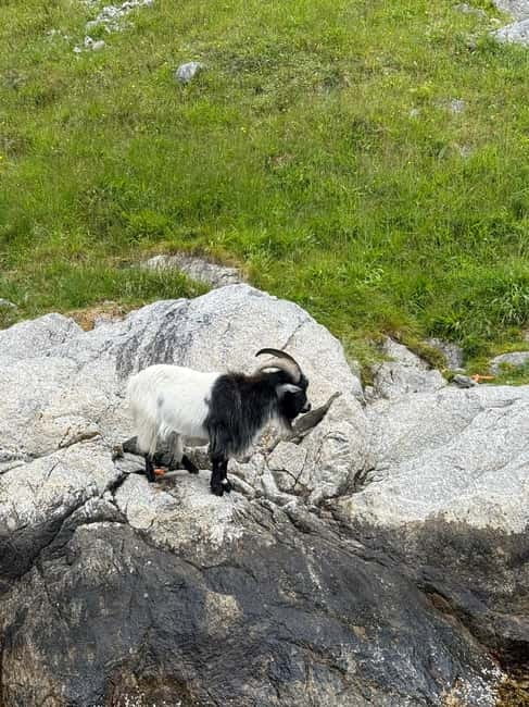From Stavanger: Lysefjorden & Pulpit Rock Safari by RIB - The first 30 minutes: speed across Stavanger’s waters