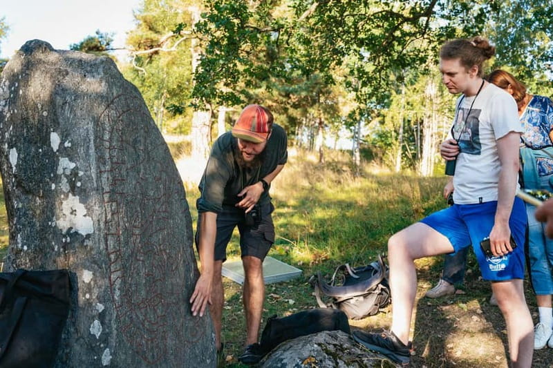 From Stockholm: Moose & Wildlife Safari with Campfire Dinner - Why this wildlife trip works near Stockholm