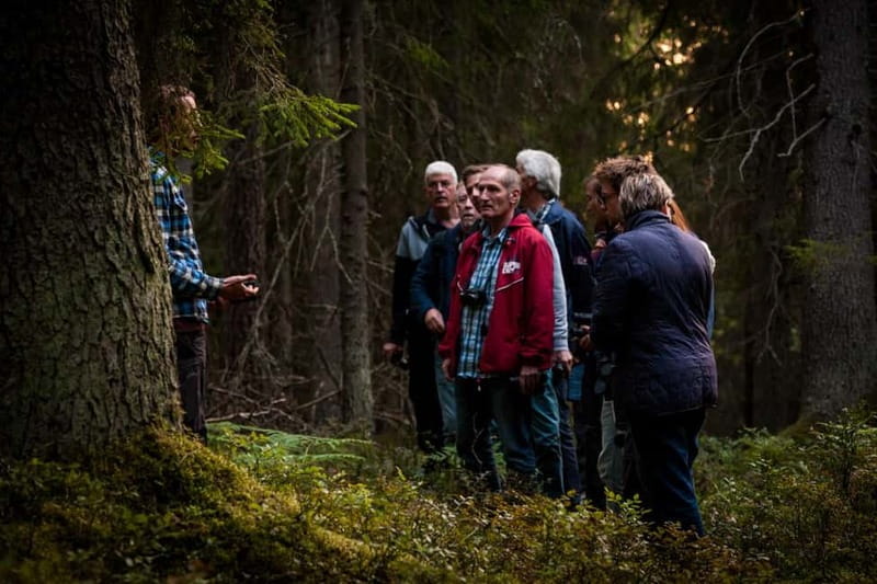 From Stockholm: Moose & Wildlife Safari with Campfire Dinner - Summer, autumn, and winter differences