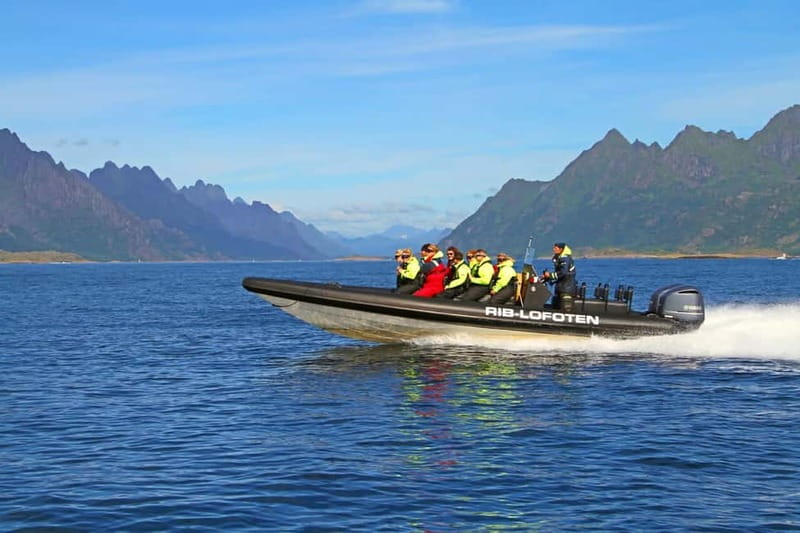 From Svolvær: Lofoten RIB Sea Eagle Safari Trollfjord Cruise - Key points at a glance