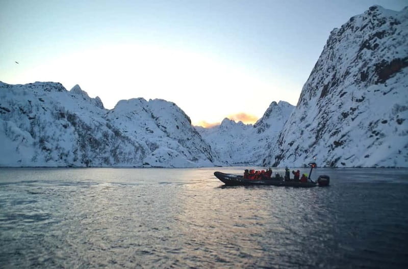 From Svolvær: Lofoten RIB Sea Eagle Safari Trollfjord Cruise - The fast return is part of the attraction