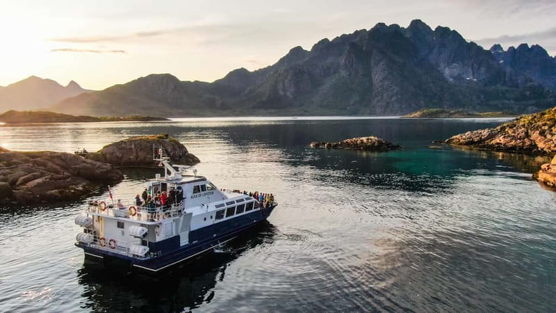 From Svolvær: Lofoten Trollfjord Cruise & Sea Eagle Safari - Key points to know before you book