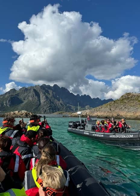 From Svolvær: RIB Boat Lofoten Trollfjord Sea Eagle Safari - Practical advice before you book