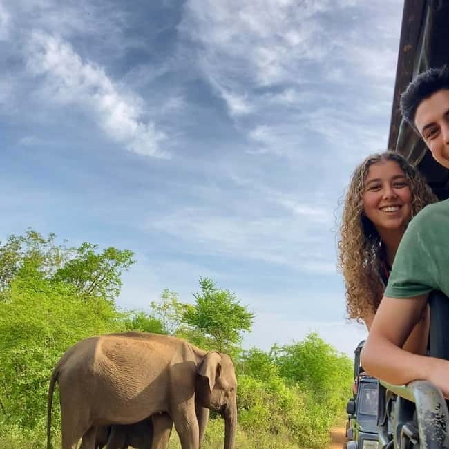 From Tangalle/ Hiriketiya: Yala Safari with Drop: Ella - The price: cheap headline, higher real total